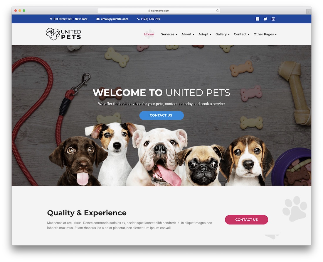 tema de wordpress animal de mascotas unidas