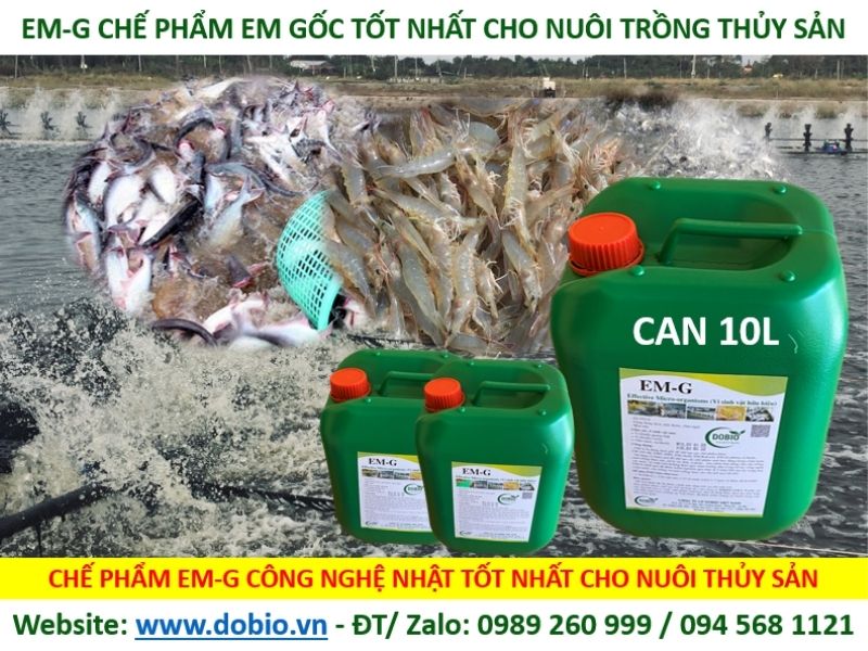 Chế phẩm sinh học EM