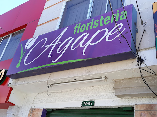 Teléfono de Floristeria Agape
