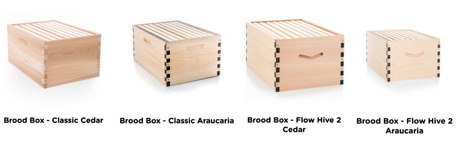 Flow Brood Boxes