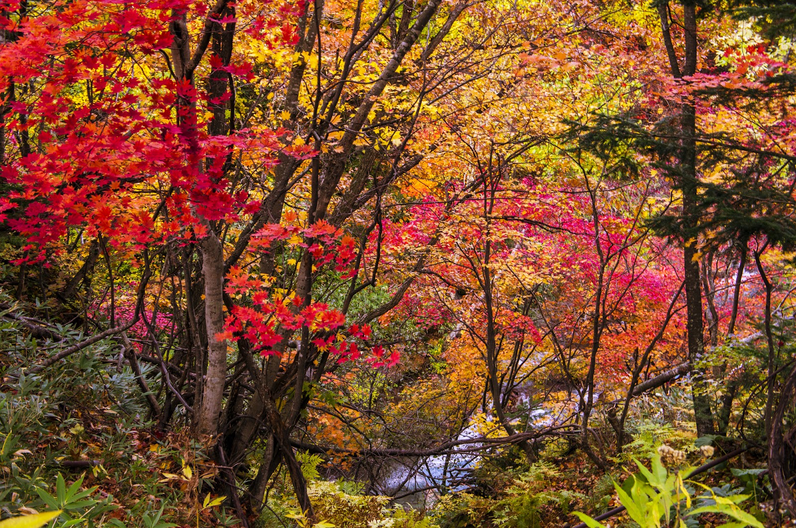 上川町「層雲峡（そううんきょう）」