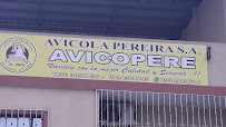 Avicopere