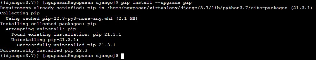 Panduan Deploy Website Berbasis Python di cPanel