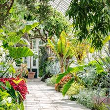 What's Beautiful Now: The Haupt Conservatory Reopened » New York Botanical  Garden