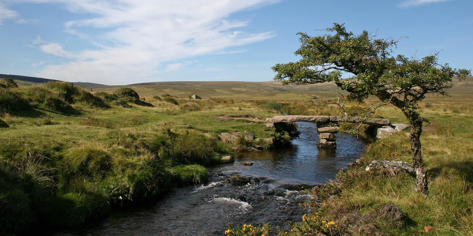 Image result for dartmoor national park