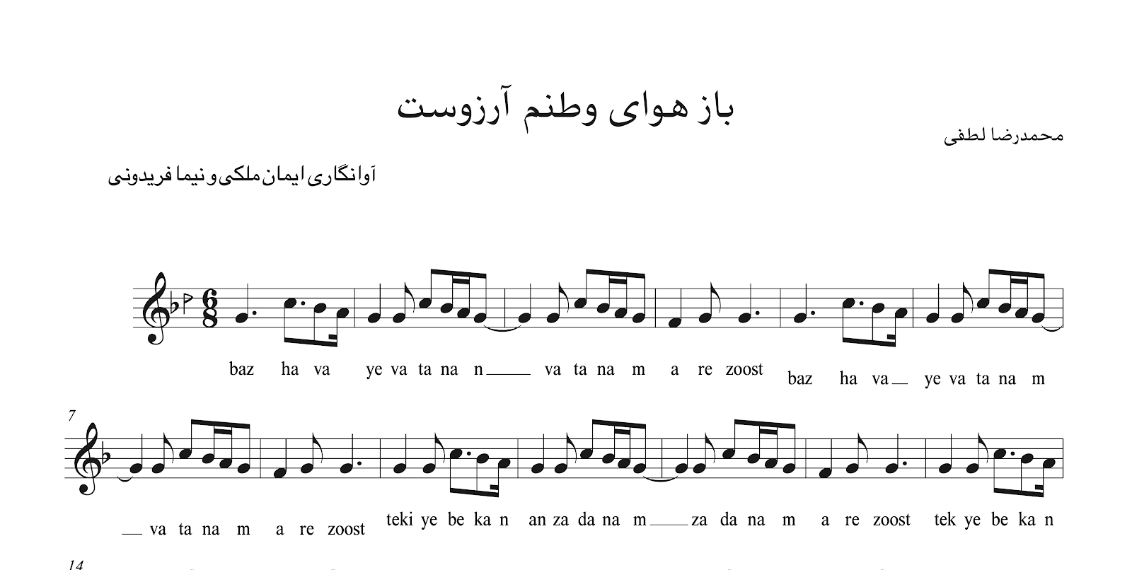 نت باز هوای وطنم آرزوست ۲