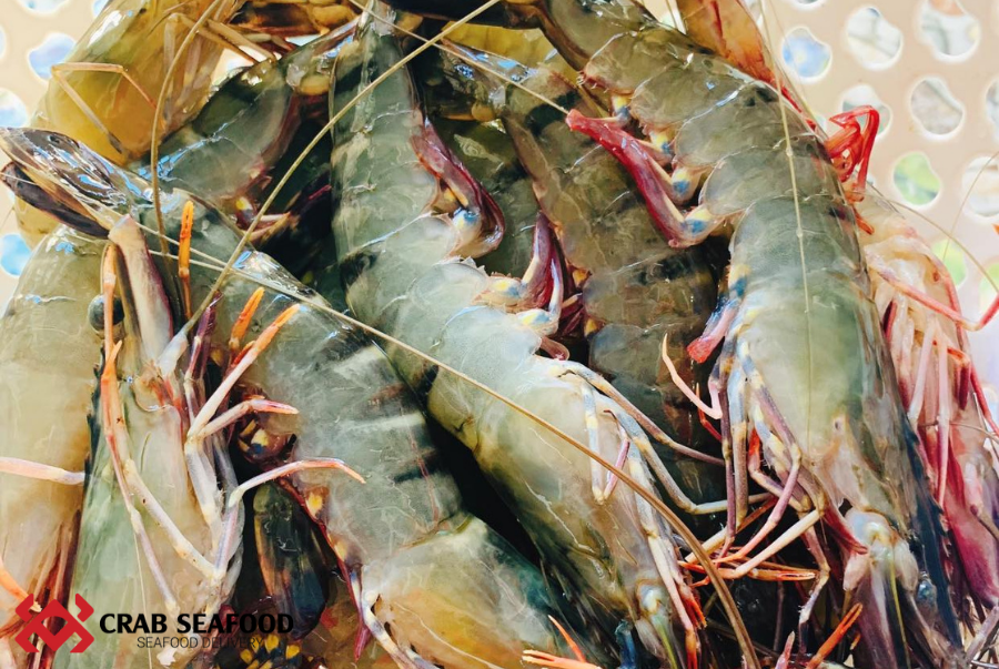 Địa Chỉ Bán Tôm Sú Biển Tươi Sống, Chất Lượng Tại TPHCM - Crab Seafood