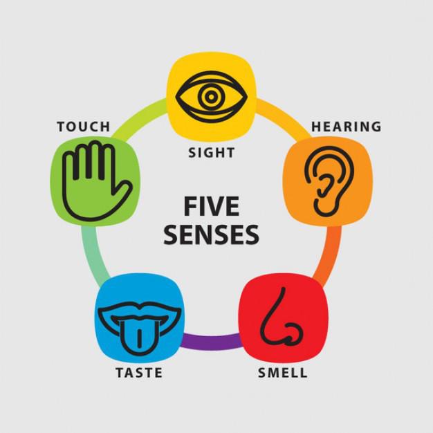 Image result for 5 senses mindfulness