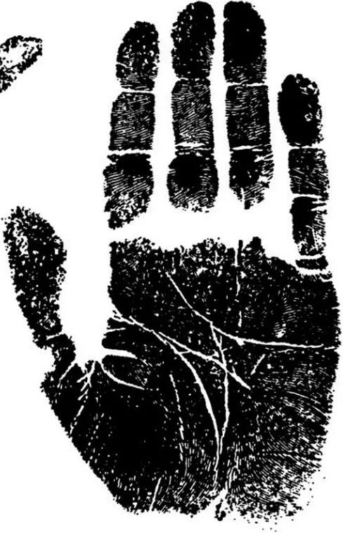 https://lh3.googleusercontent.com/_cgWlg4qkP1hUMLHSqxNOHyhOaL5UAWPnr8T-wErjmikrQ3_e4SMvjFJvVC8MimrUZH3XGNQKaW-3RV6AXPa5_A39B66Rh59EfHwOgGK80ia06bWhcI-tq6WGYLb8hifzF3I2Ngd2WjTtiGGHY6QPDvi7fEekGNq2ln_wKanH3OixIK6Ka5on3TroduPjxCgDBU_x3y0vA