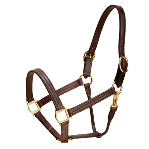 Tory Leather Triple Stitched Leather Halter for western equestrian Gifts from FarmVet
