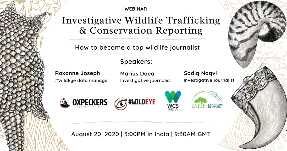Webinar: Investigative Wildlife Trafficking & Conservation Reporting ...