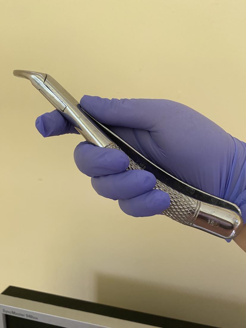 The 150 Forceps is an oral surgery instrument used to extract maxillary teeth.