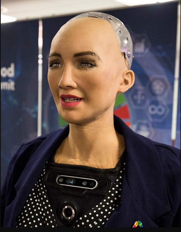 Image of Sophia, First Robot Citizen at the AI for Good Global Summit 2018.