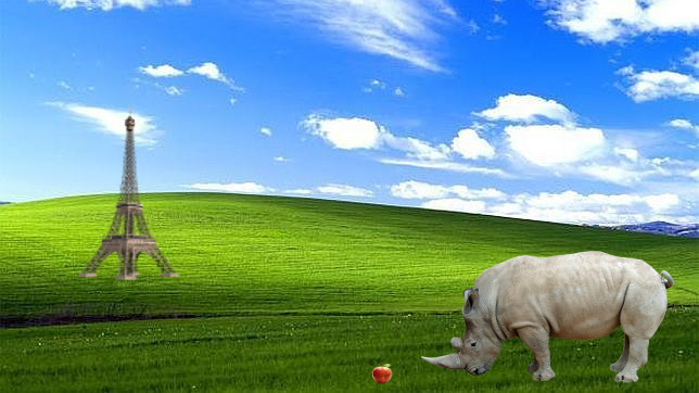 window eifel rino man.jpg