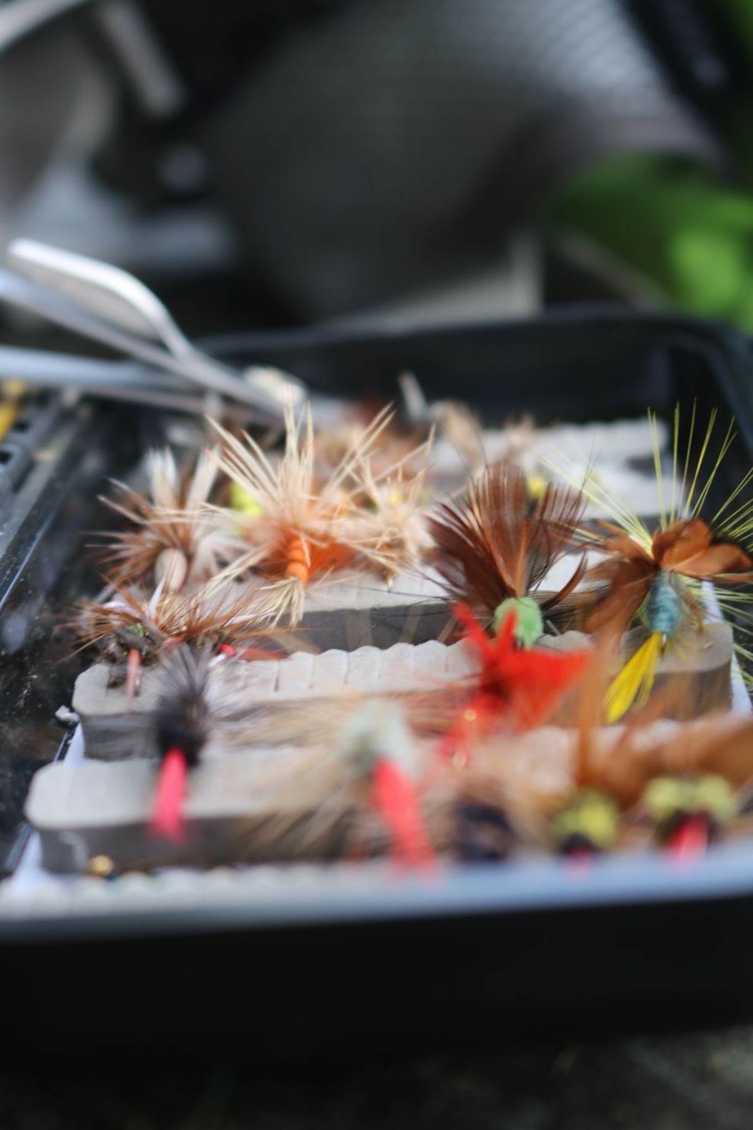 fly fishing tippets