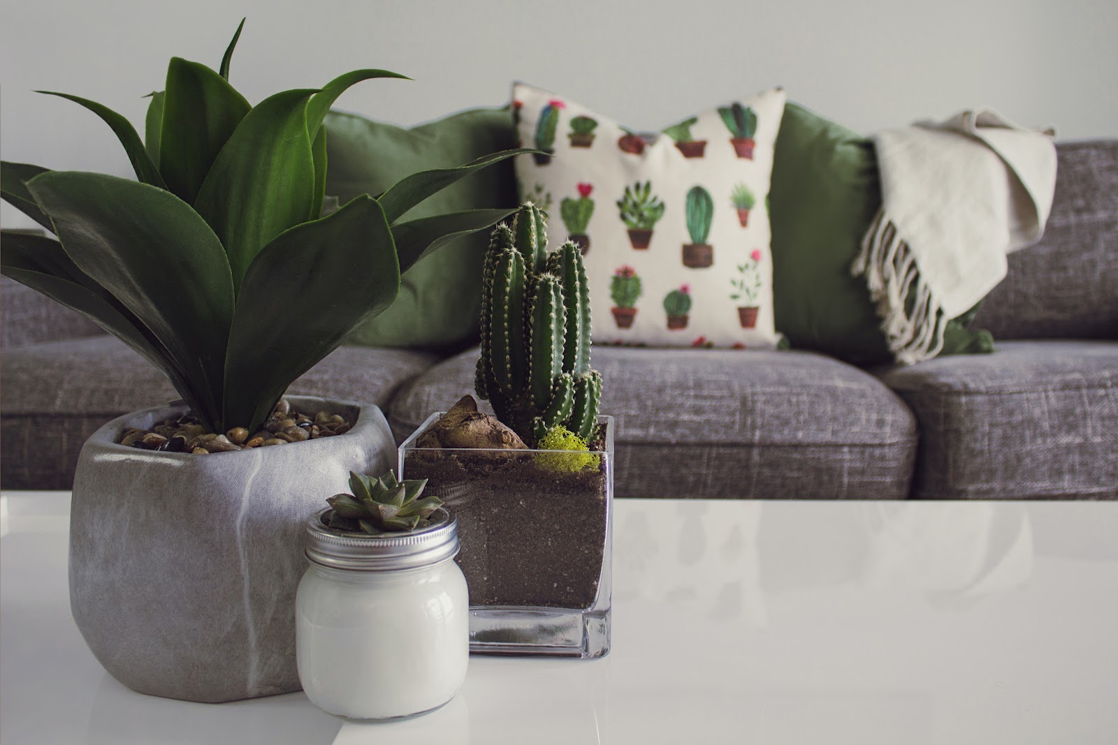 Plants on white table in front of black sofa