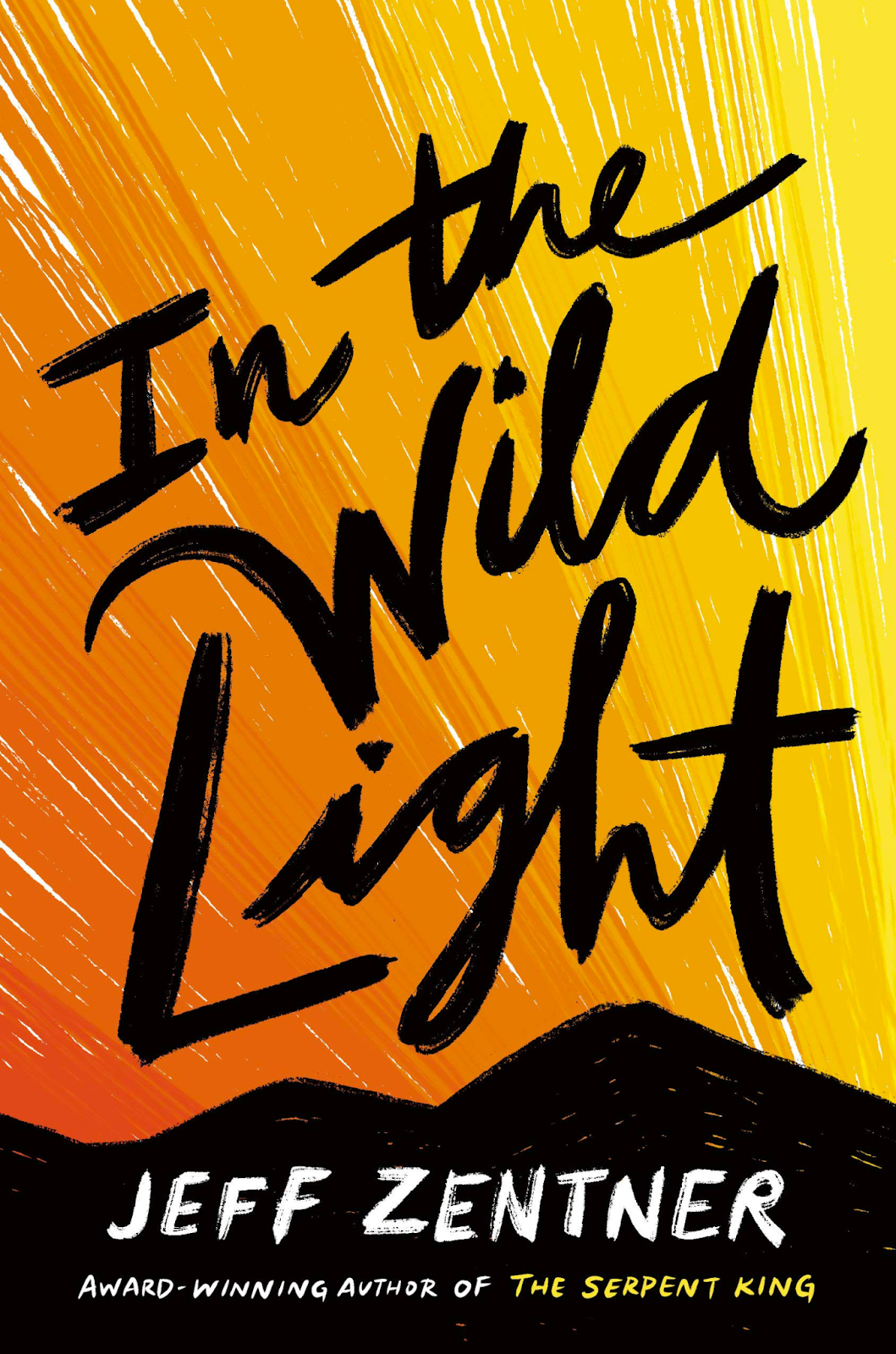 Book Cover: In the Wild Light