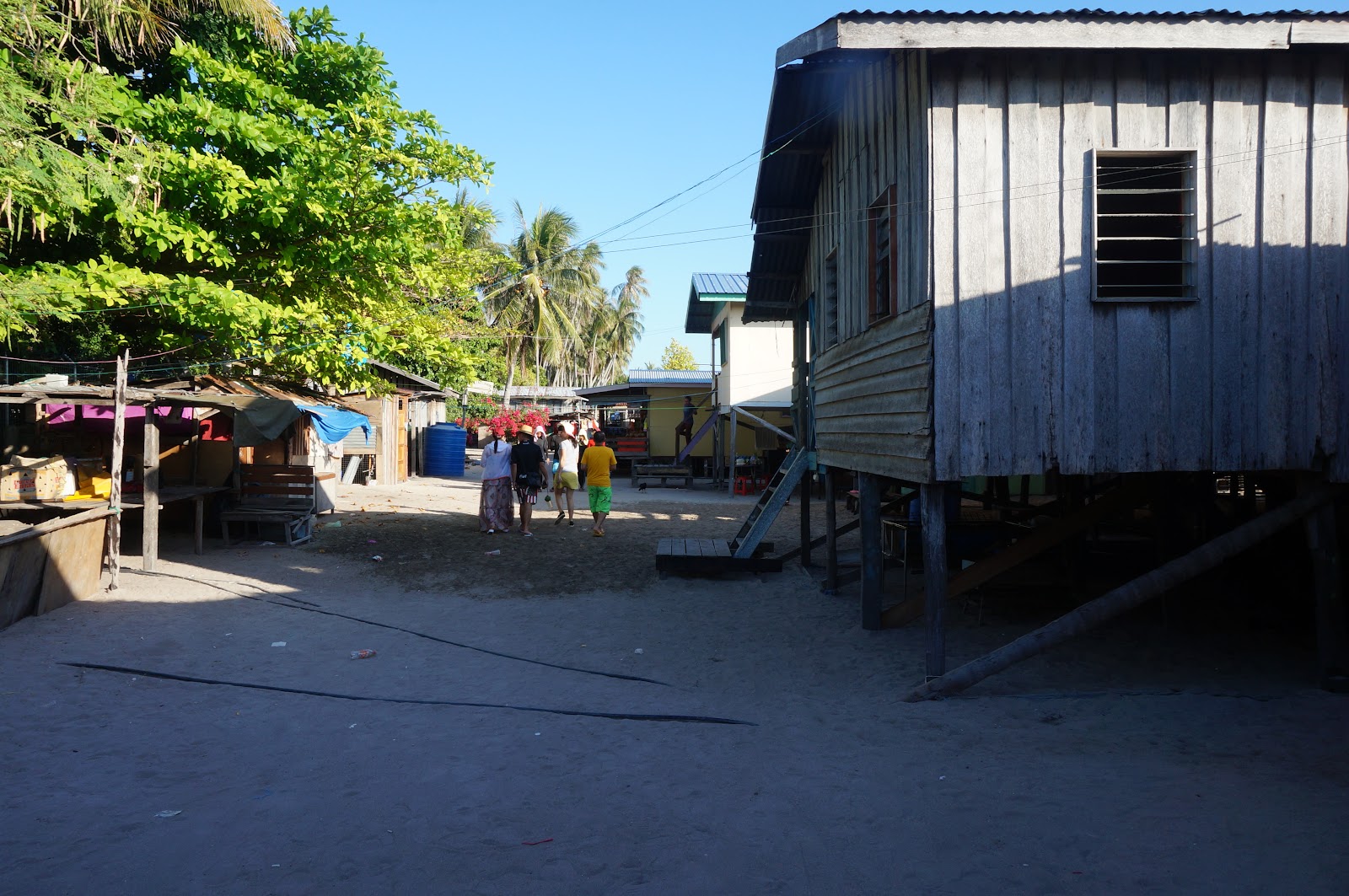 DSC08190.JPG