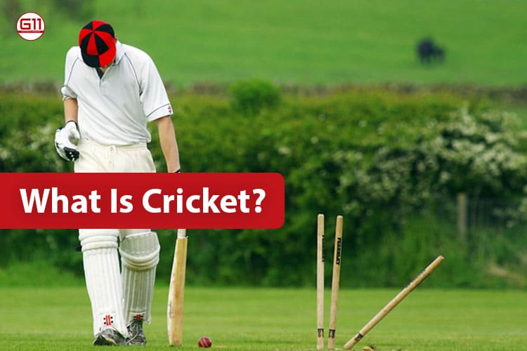 What is cricket- G11 Prediction