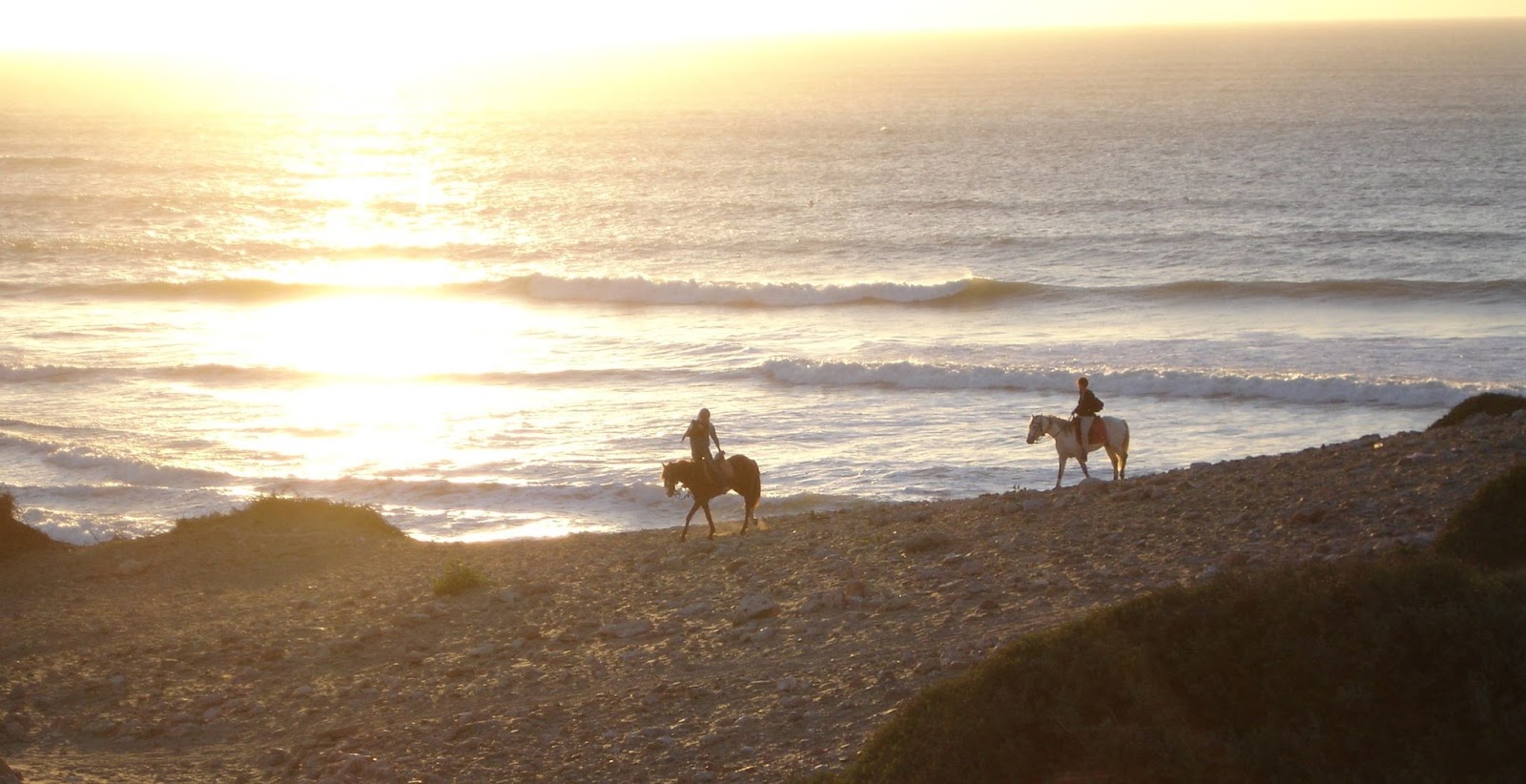 Horse Riding Beach