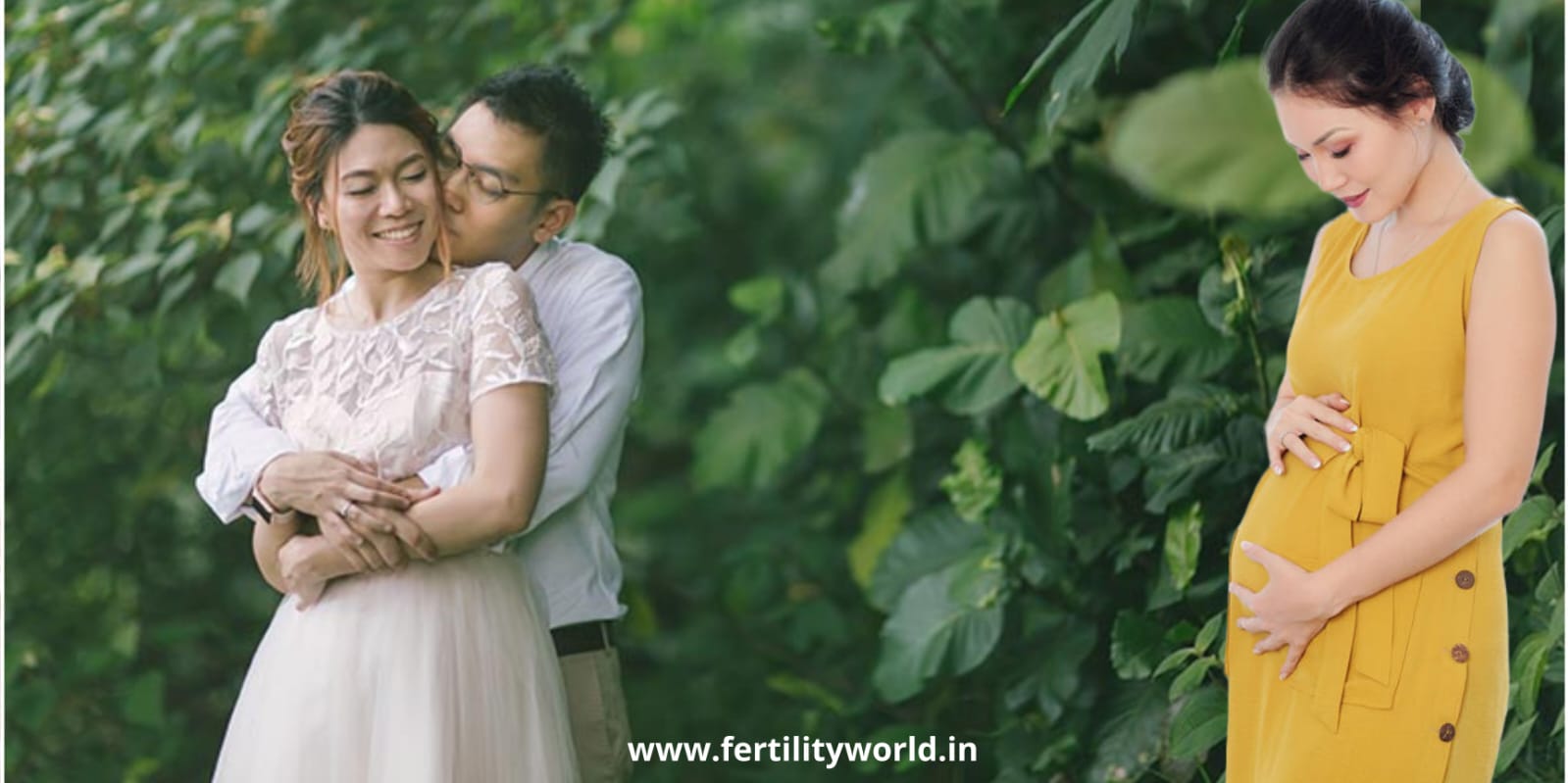 Surrogacy in Mizoram