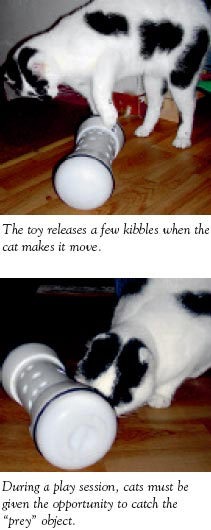 Examples of good cat toys include devices that encourage the cat to play with the toy to receive its food