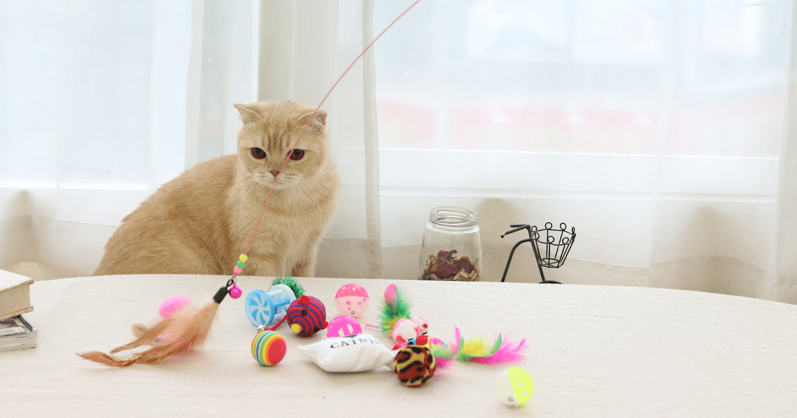 cat with lots of cat toys on a table