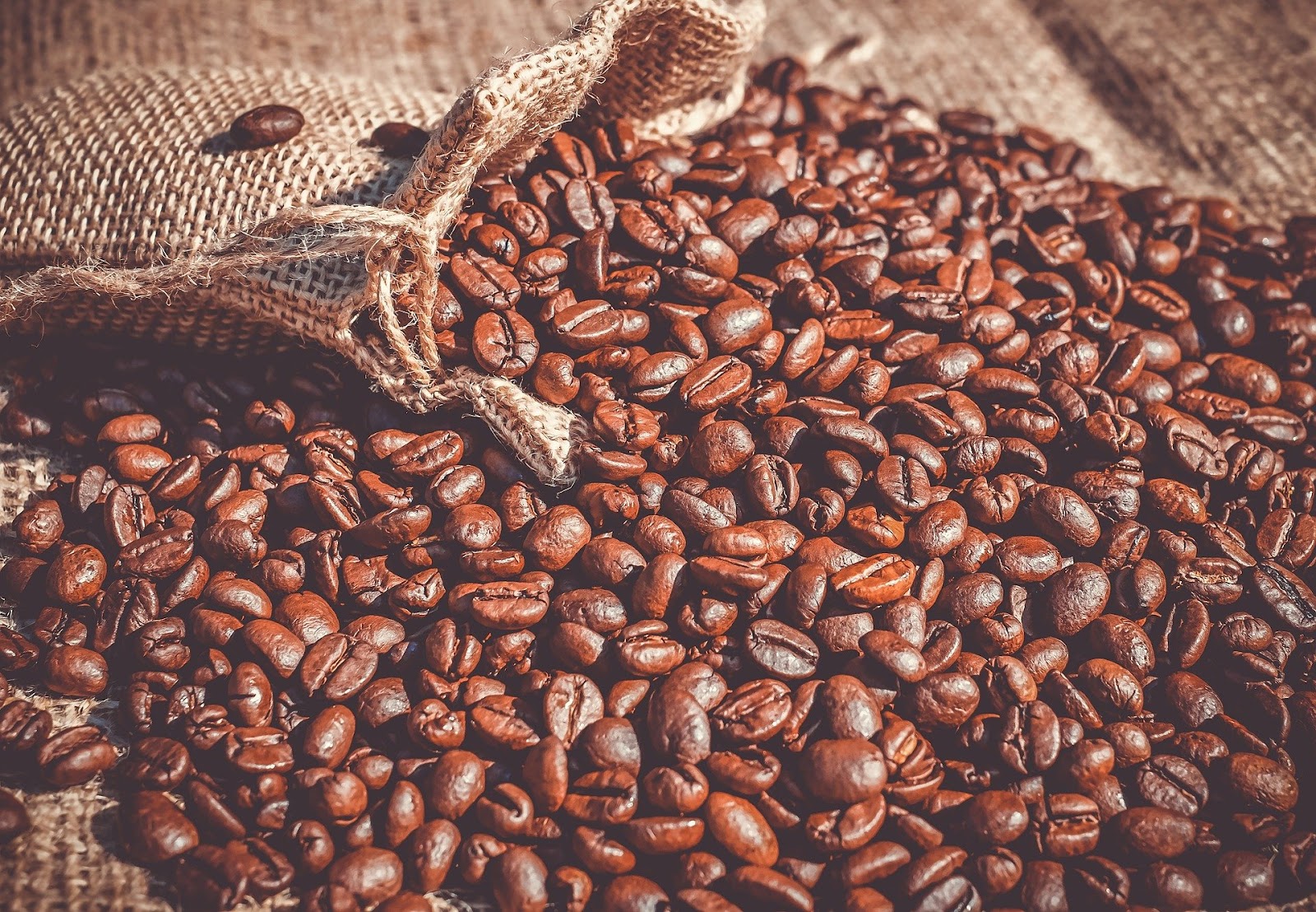 Coffee bean, grano de cafe