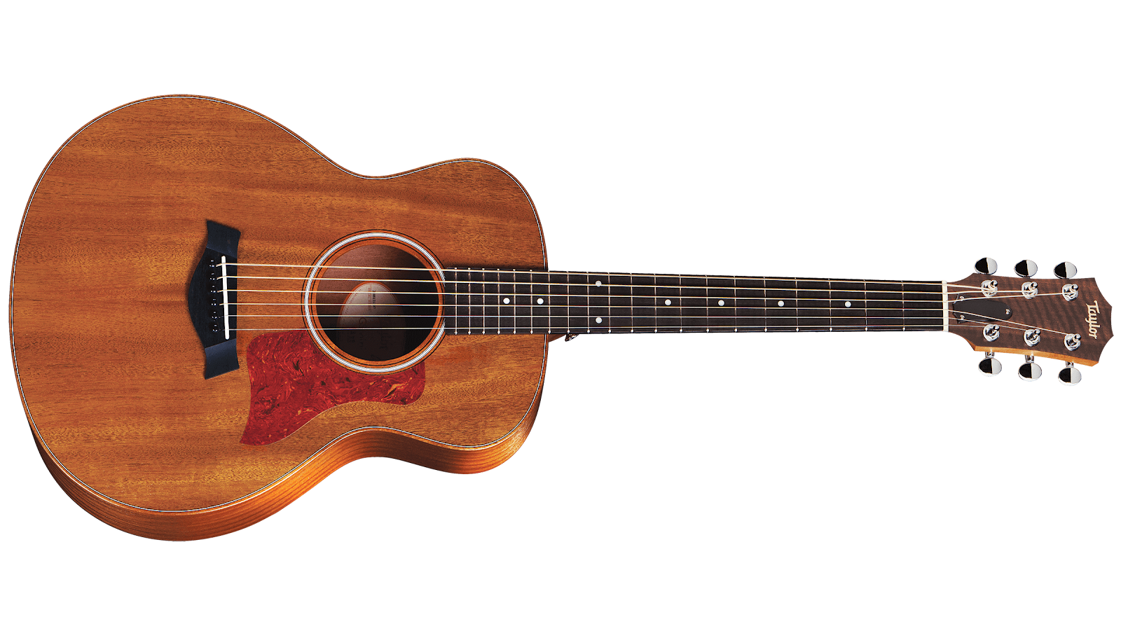Cơ hội sở hữu guitar Taylor giá sock tại Việt Thương Music