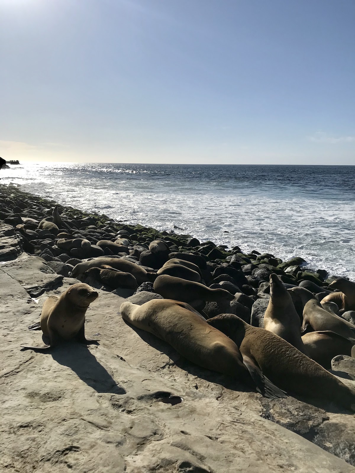 southern california coast