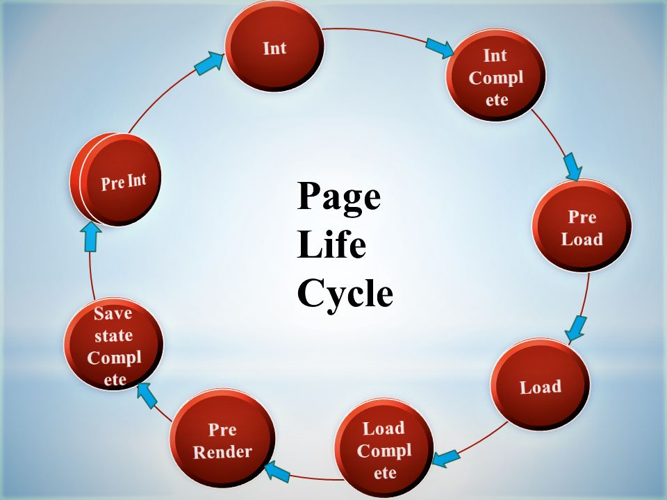 page life cycle