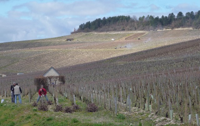 bourgogne022014 021 [640x480].jpg