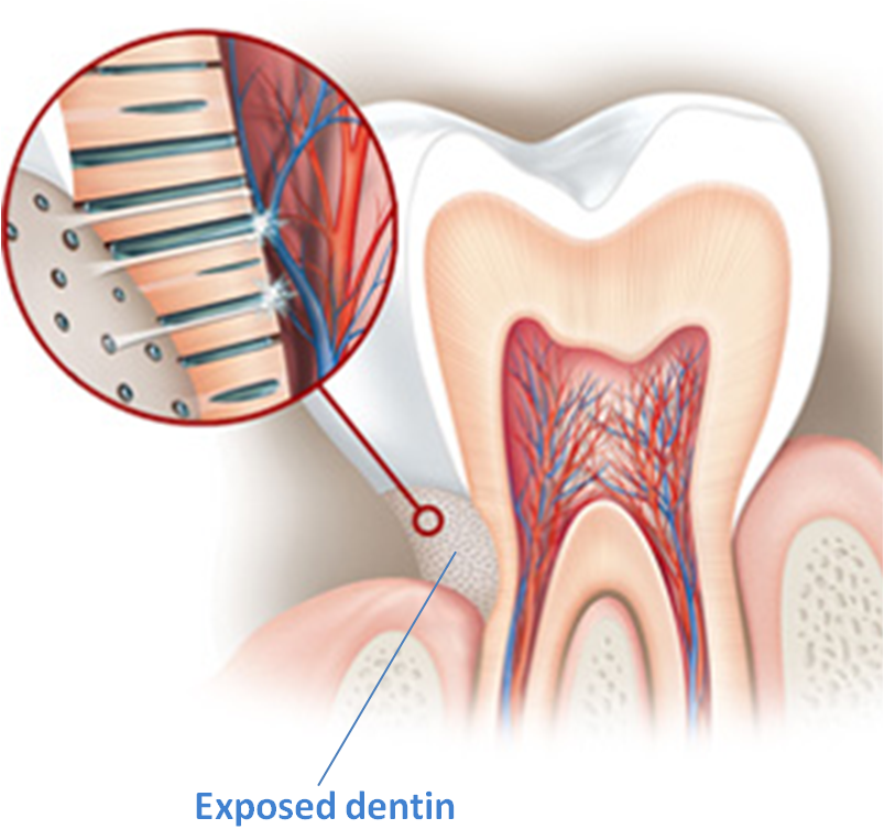 Optimal Health - FzDn1Gm12dpvTLkpwzG co9uSebz NWrpQspakFJbXflxvuu9bUBzQ5KBiDseQtzQPnfhMN3Iv3WK7bzCGfqrreFfHJBOqiBpwume0aZs - Optimal Health - Health Is True Wealth.