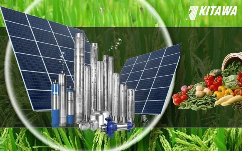 Hệ thống máy bơm năng lượng mặt trời