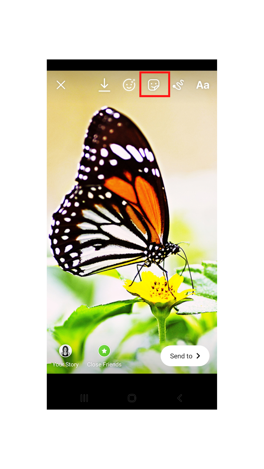 Picture of butterfly and tapping sticker icon