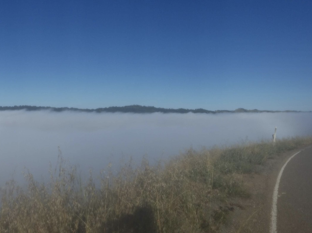 above the fog