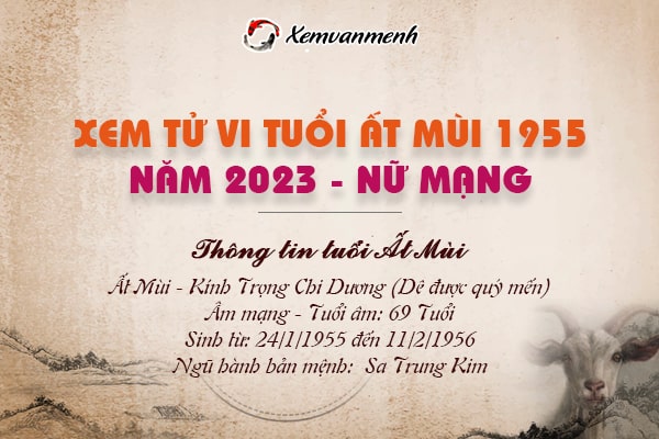 Xem bói tử vi tuổi Ất Mùi nữ mạng năm 2023 