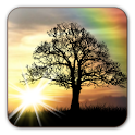 Sun Rise Free Live Wallpaper apk