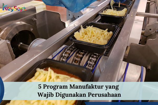 Program Manufaktur