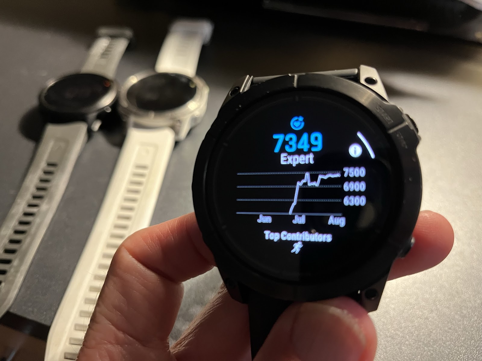 Epix Pro 47mm vs 51mm? Can't decide what's better on my wrist : r/garminepix