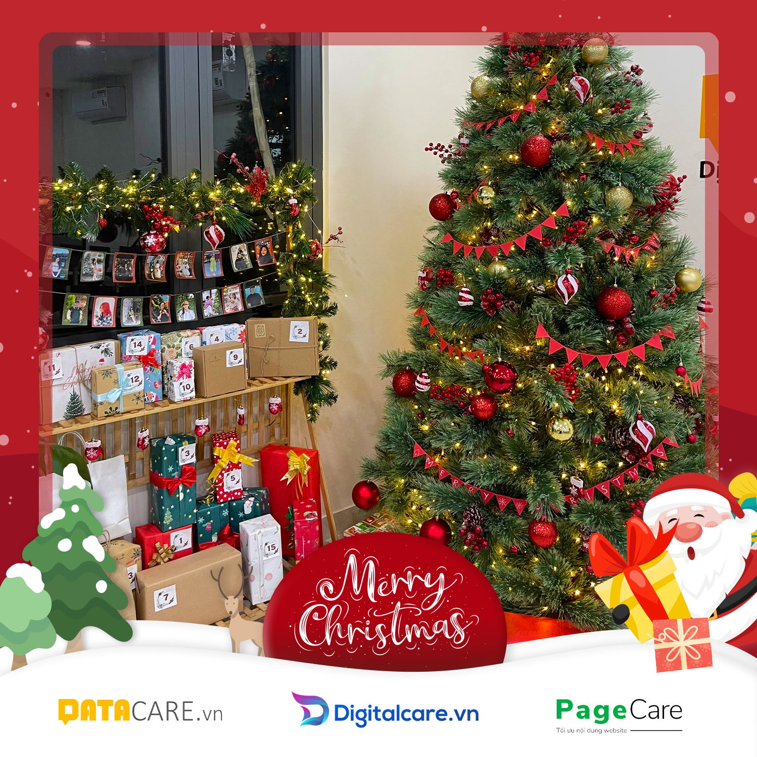 Hòa mình cùng không khí Giáng SInh với Datacare