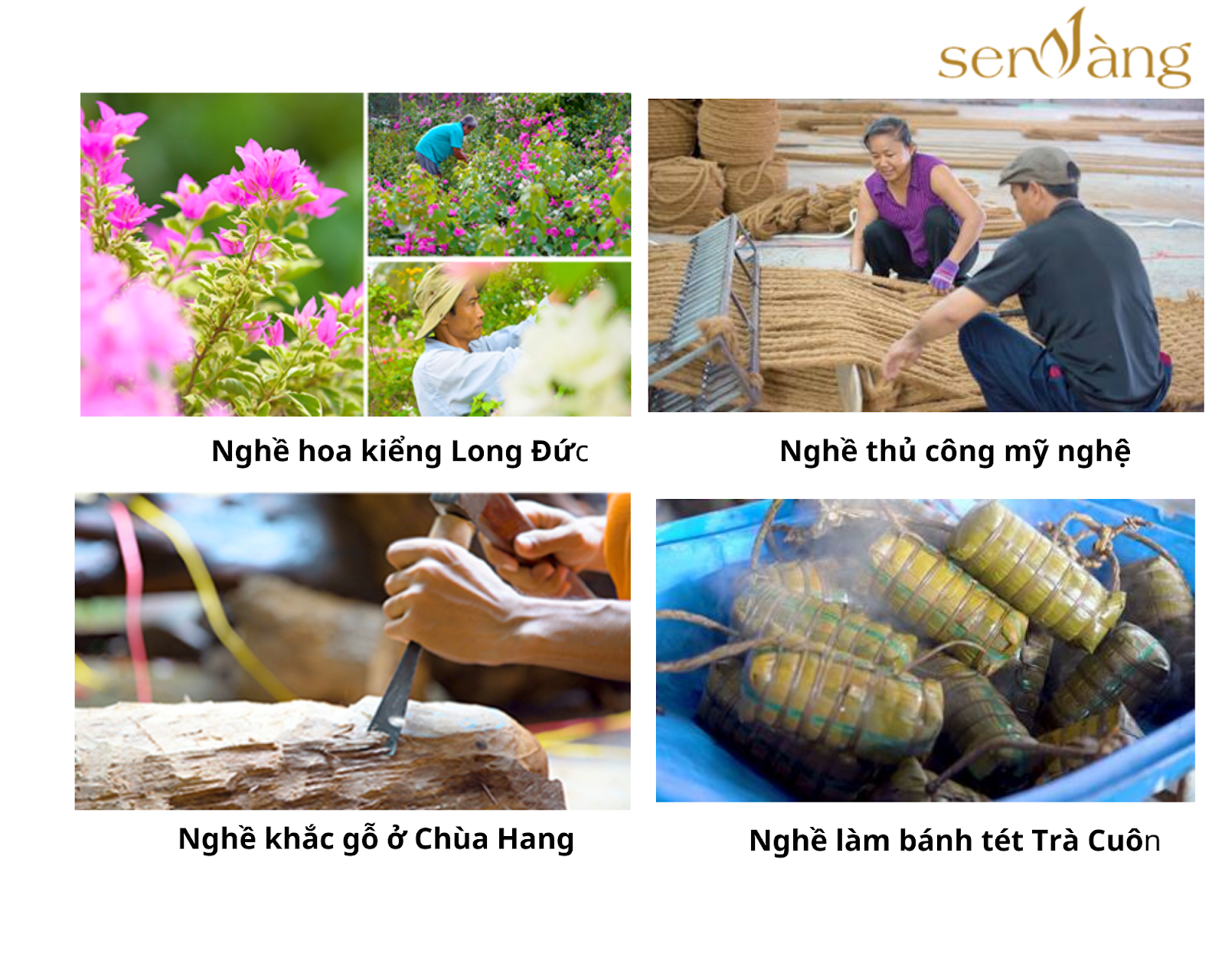 tổng quan trà vinh