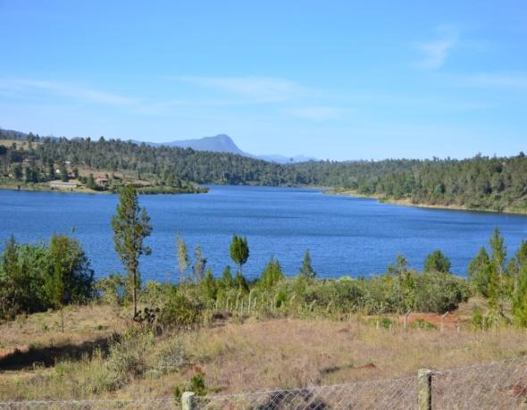 On-going reforestation activities at Chebara dam