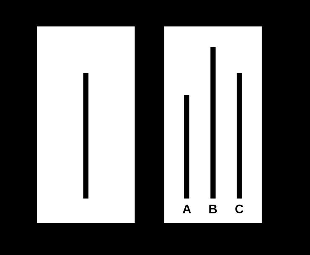 image13.jpg