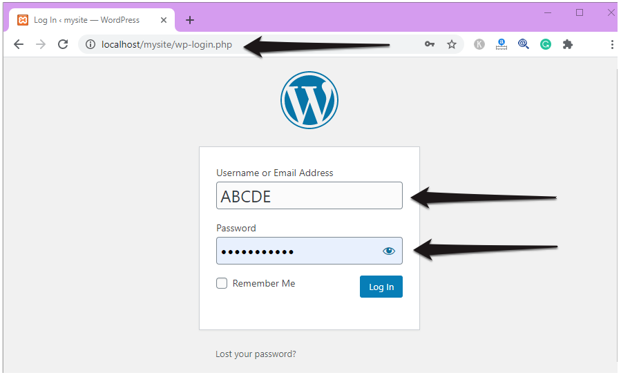 Login to your WordPress Localhost Website. 