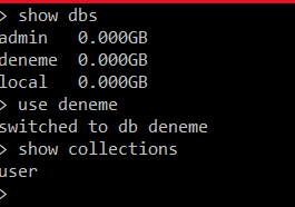 asdqwefasdasdfAlıntısı.PNG