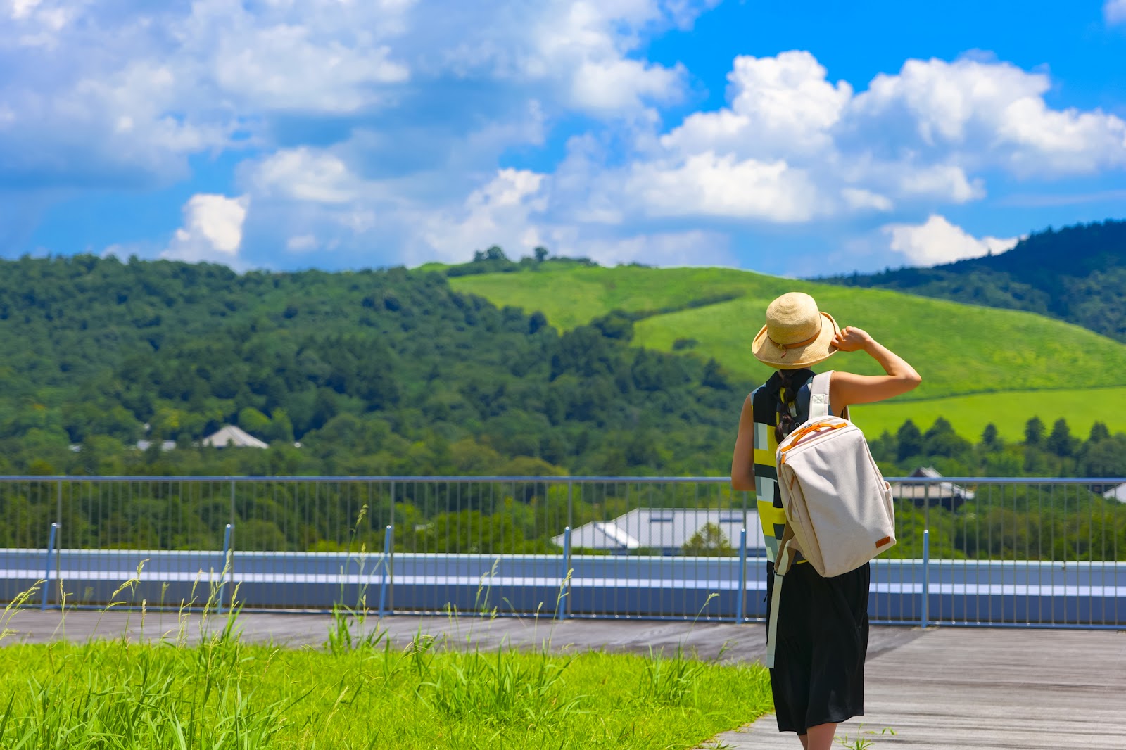 目が疲れたら遠くの緑を見ると良いって本当？嘘？