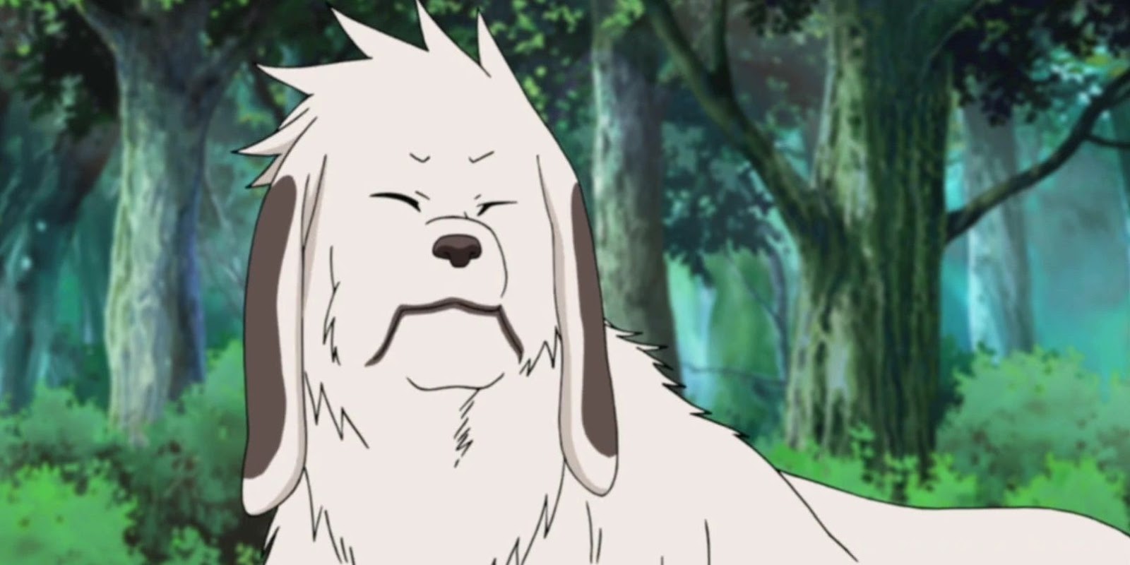 Akamaru 