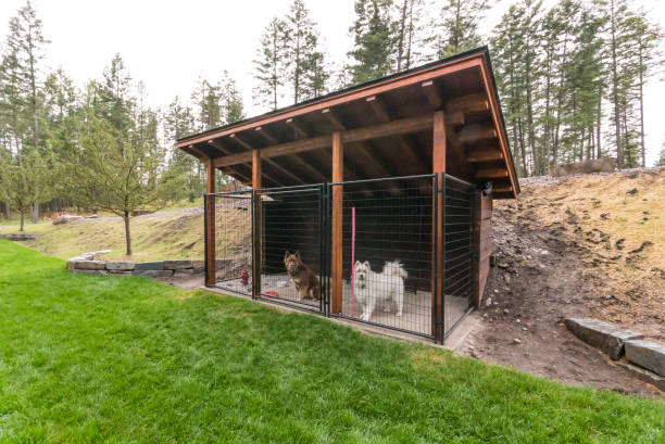 Outdoor dog house plans sales