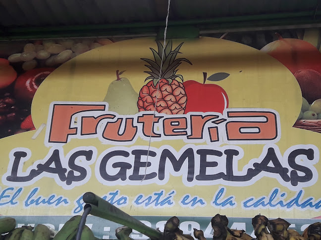 Opiniones de Frutería Las Gemelas en San Martín de Porres - Frutería